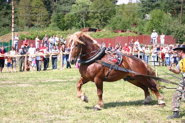 img00027.jpg